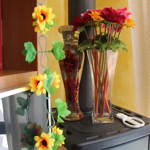 I Girasoli Tany&simo Appartamento